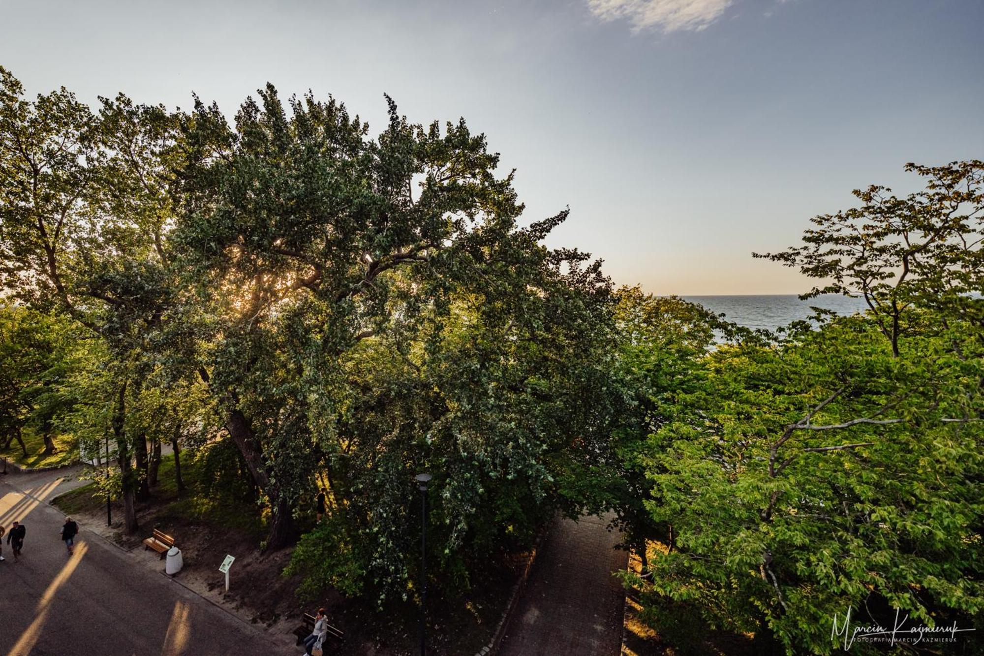 Bed and Breakfast Cristal Ustka Exterior foto
